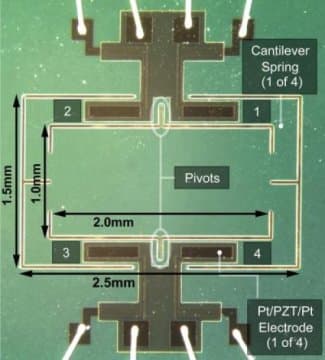 Fly-inspired sound detector: New device based on a fly’s freakishly acute hearing for futuristic hearing aids — ScienceDaily