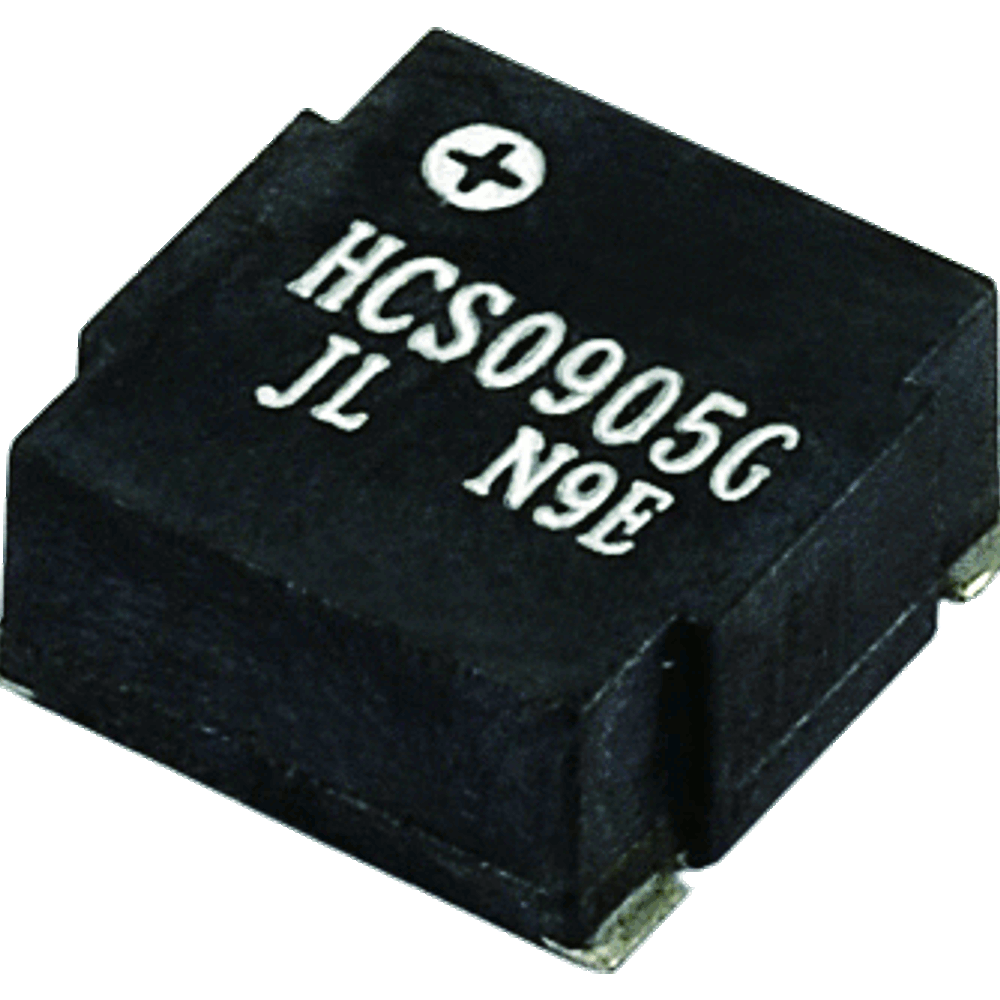 hcs09g